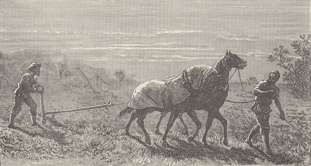 TURKMENISTAN. Turkoman ploughing 1892 old antique vintage print picture